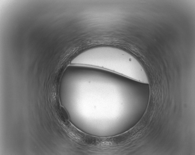 X0000061120593200511211003