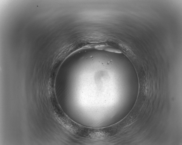 X0000061120594200511211003