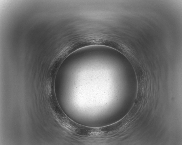 X0000061120595200511211003