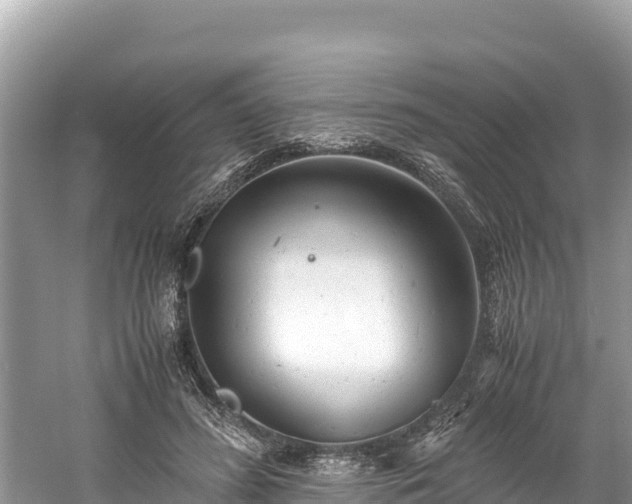 X0000061120596200511211003