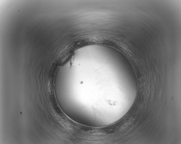 X0000061120597200511211003