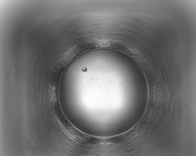 X0000061120598200511211003