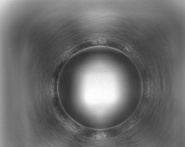 X0000061120600200511211002