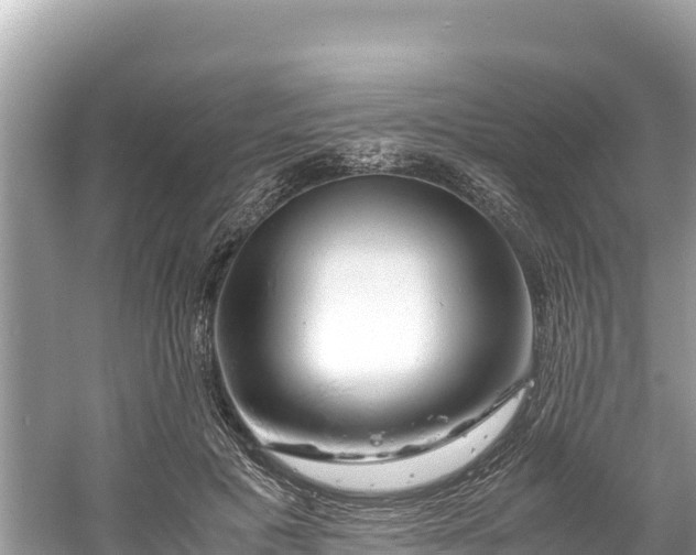 X0000061120601200511211002