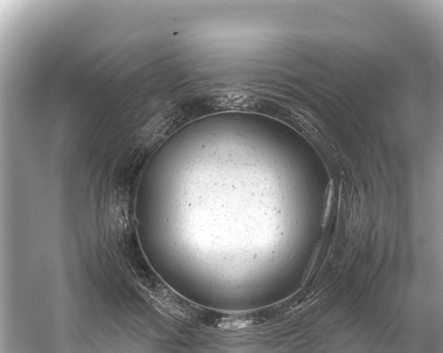 X0000061120602200511211002