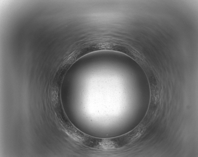 X0000061120603200511211002