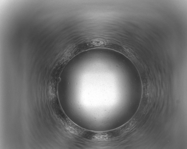 X0000061120606200511211002