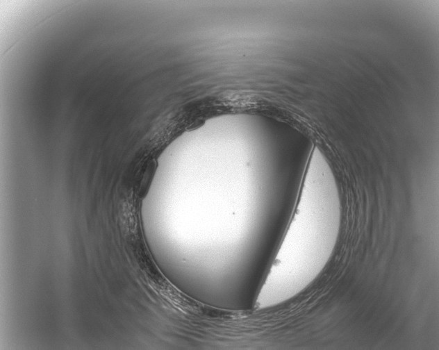 X0000061120609200511211002