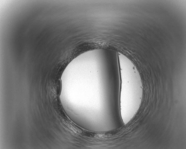 X0000061120613200511211002