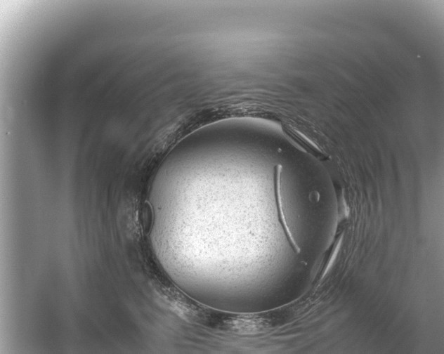 X0000061120615200511211002