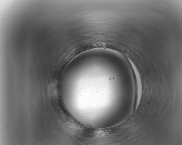 X0000061120616200511211002