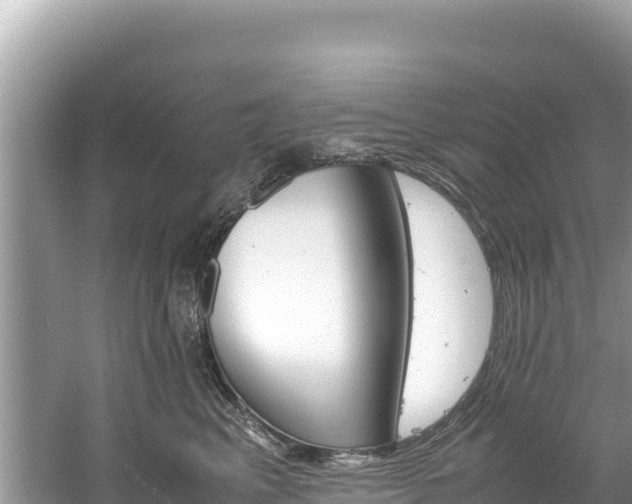 X0000061120617200511211002