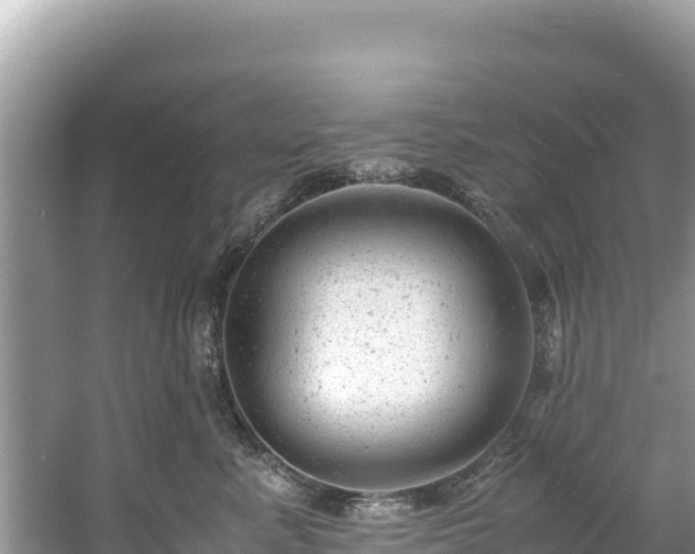 X0000061120619200511211002