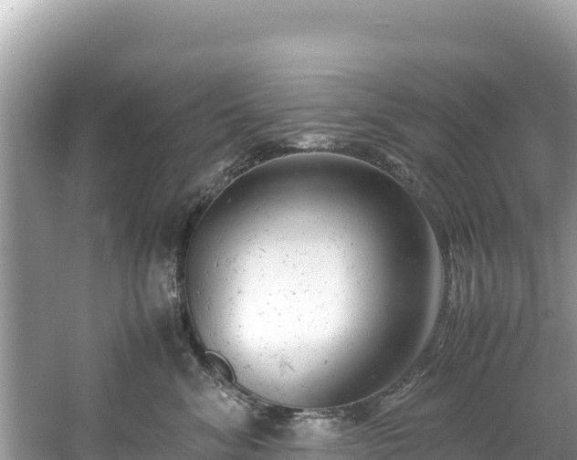 X0000061120620200511211002