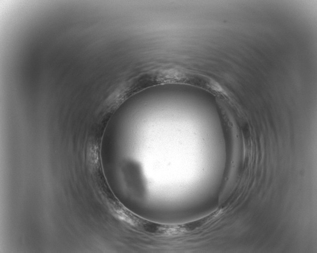 X0000061120621200511211002