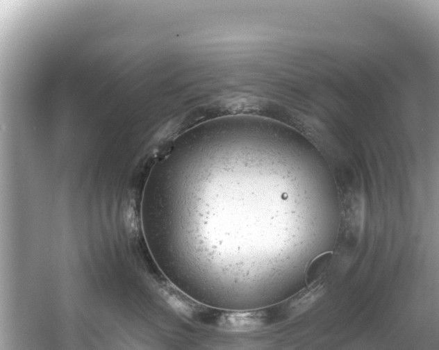 X0000061120622200511211002