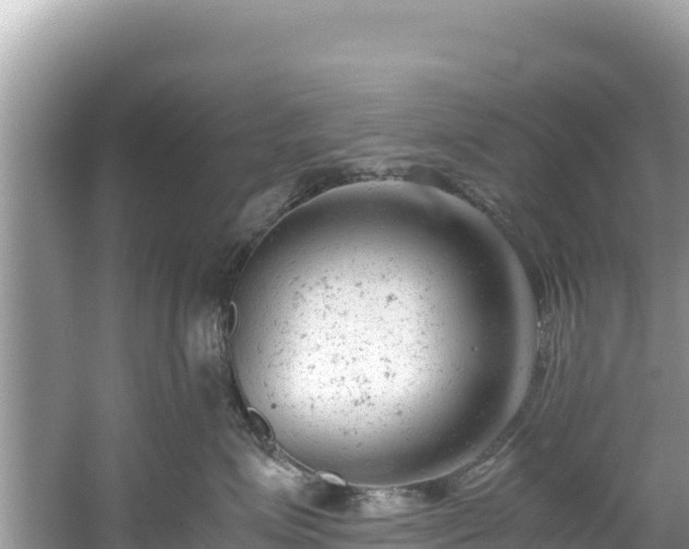 X0000061120623200511211002