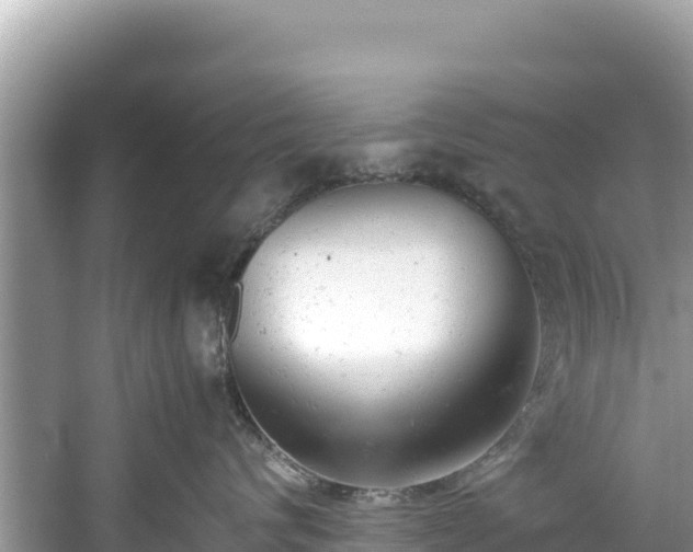 X0000061120624200511211002