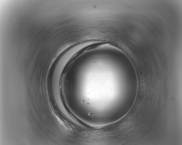 X0000061120626200511211001