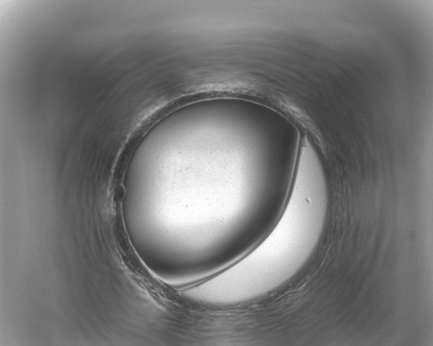 X0000061120628200511211001