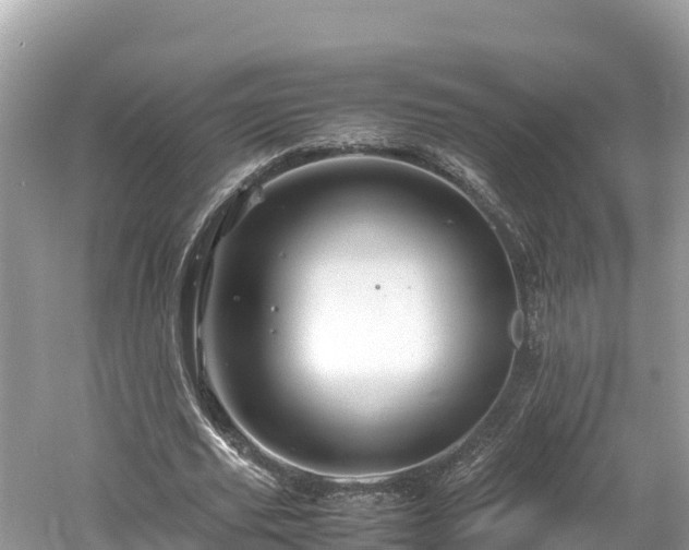 X0000061120629200511211001