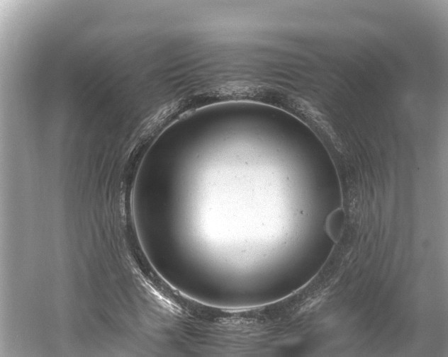 X0000061120633200511211001