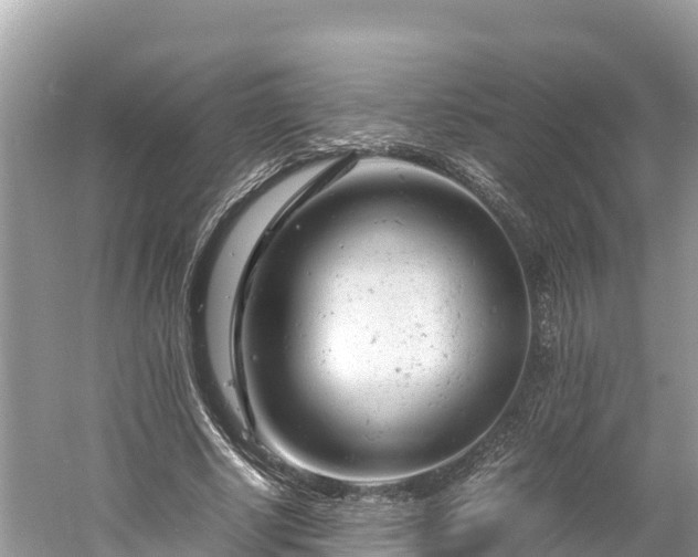 X0000061120634200511211001