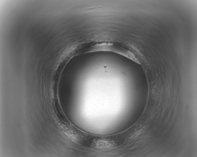 X0000061120635200511211001