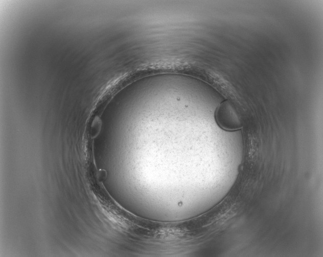 X0000061120636200511211001