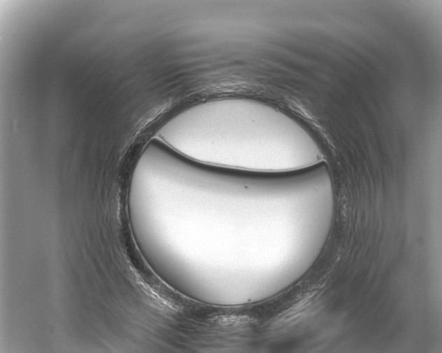 X0000061120637200511211001