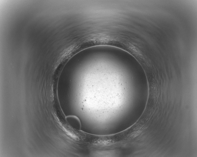 X0000061120638200511211001