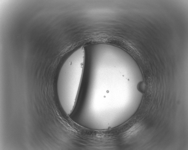 X0000061120641200511211002