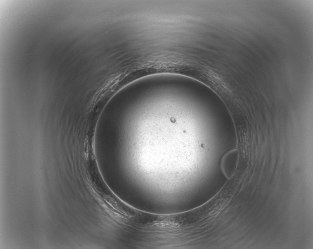 X0000061120644200511211002