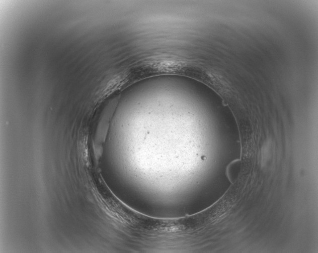 X0000061120646200511211002