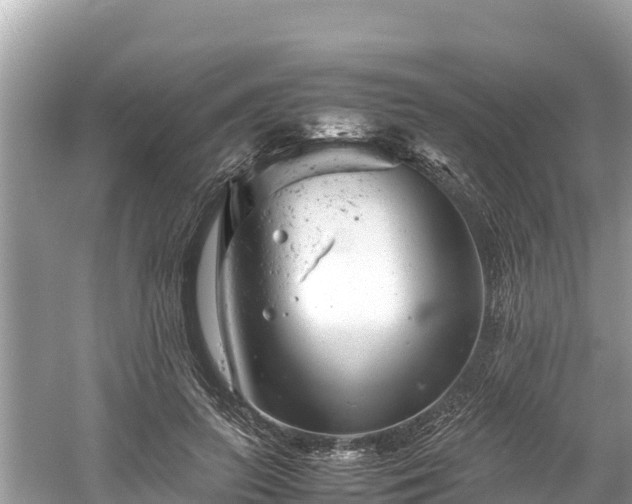 X0000061120647200511211002