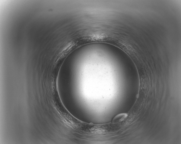 X0000061120648200511211002