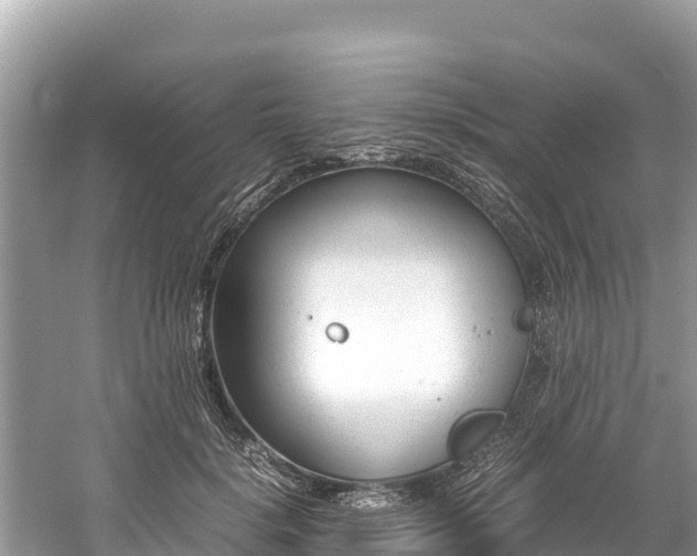 X0000061120652200511211002