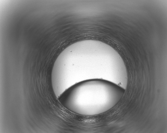 X0000061120653200511211002