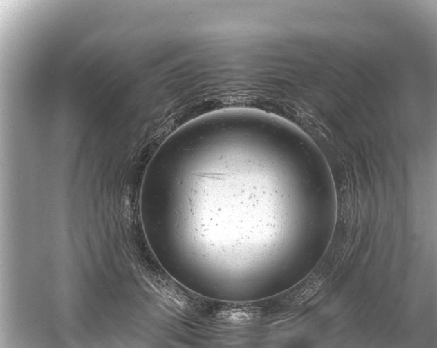 X0000061120655200511211002