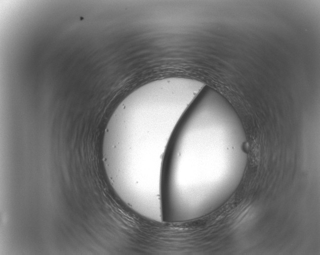 X0000061120657200511211002