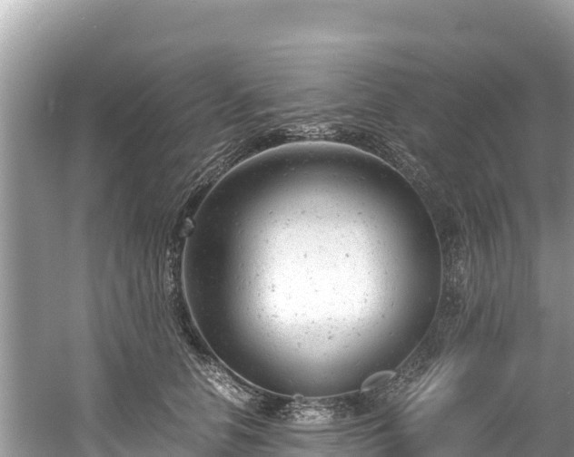 X0000061120658200511211002