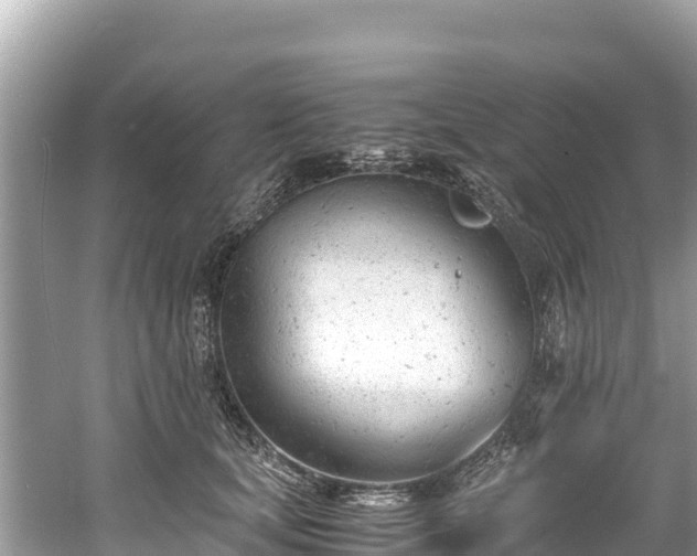 X0000061120659200511211002