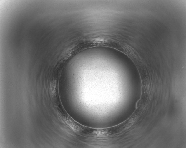 X0000061120660200511211002