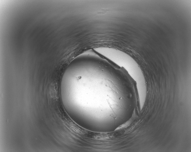 X0000061120661200511211002