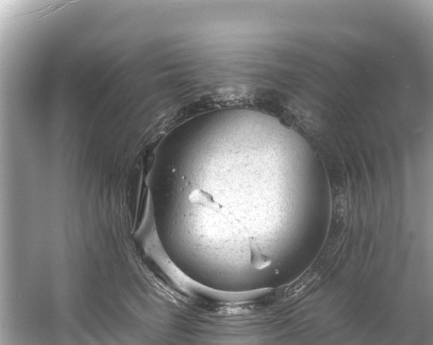 X0000061120662200511211002