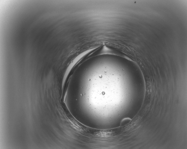 X0000061120664200511211002