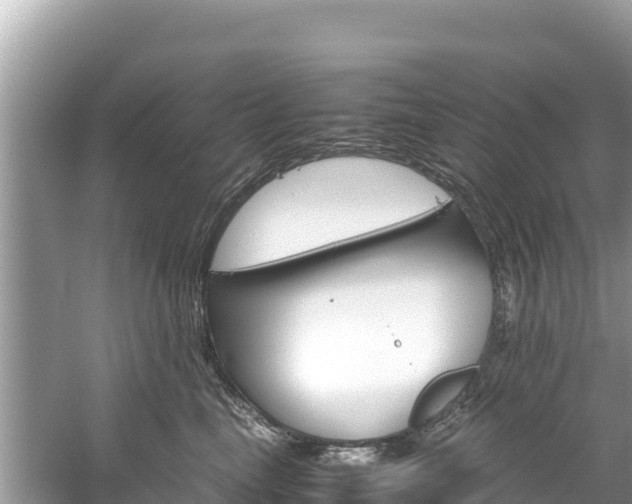 X0000061120665200511211002