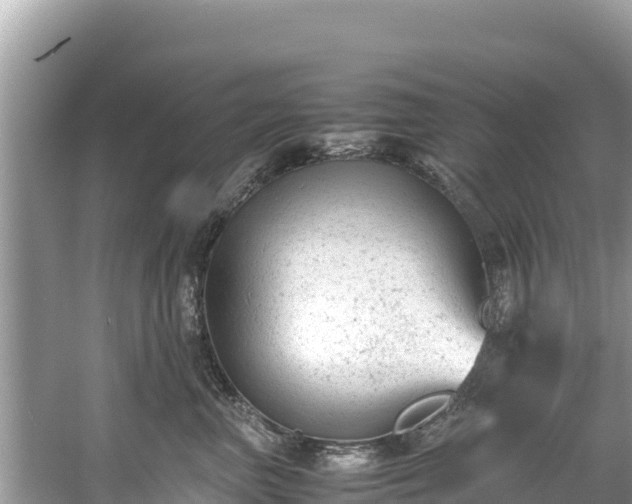 X0000061120667200511211002