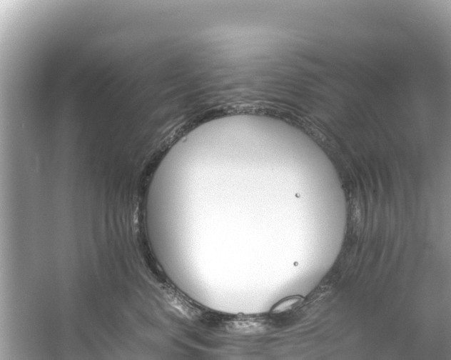 X0000061120668200511211002