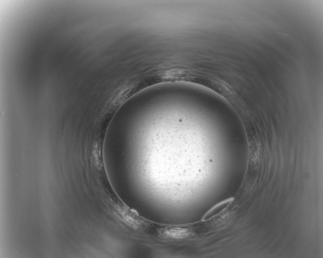 X0000061120669200511211002